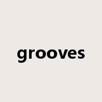 grooves是什么意思