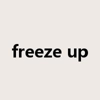 freeze up是什么意思