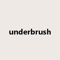 underbrush是什么意思