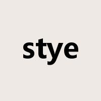 stye是什么意思