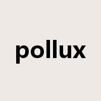 pollux是什么意思