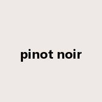pinot noir是什么意思