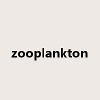 zooplankton是什么意思