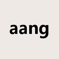 aang是什么意思