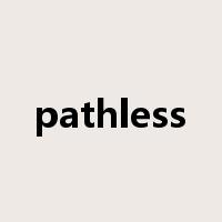 pathless是什么意思