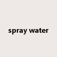 spray water是什么意思
