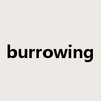 burrowing是什么意思