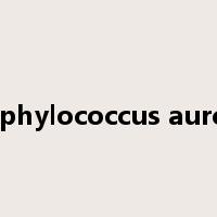 staphylococcus aureus是什么意思