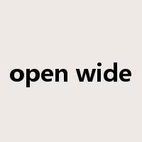open wide是什么意思