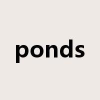 ponds是什么意思