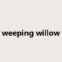 weeping willow是什么意思