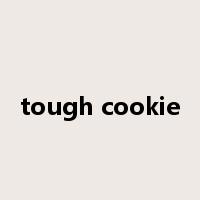 tough cookie是什么意思