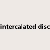 intercalated disc是什么意思
