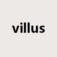 villus是什么意思