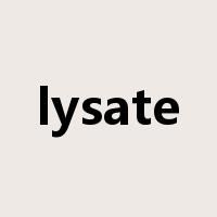 lysate是什么意思