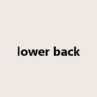 lower back是什么意思