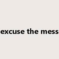 excuse the mess是什么意思