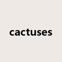 cactuses是什么意思