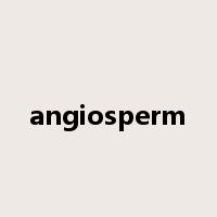 angiosperm是什么意思