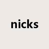 nicks是什么意思