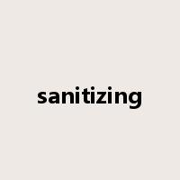 sanitizing是什么意思
