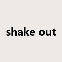 shake out是什么意思