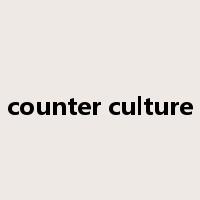 counter culture是什么意思