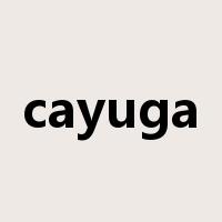 cayuga是什么意思