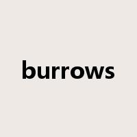 burrows是什么意思