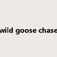 wild goose chase是什么意思