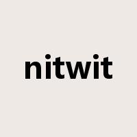 nitwit是什么意思