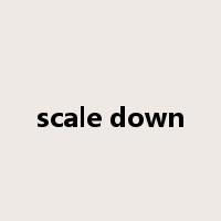 scale down是什么意思