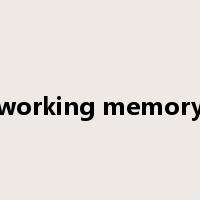 working memory是什么意思