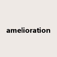 amelioration是什么意思