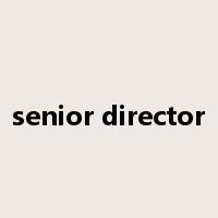senior director是什么意思