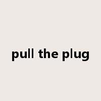 pull the plug是什么意思