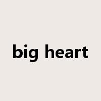 big heart是什么意思