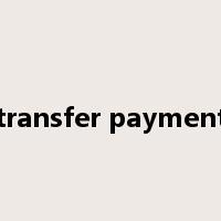 transfer payment是什么意思