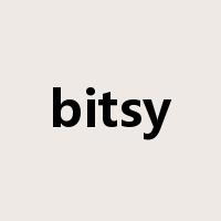 bitsy是什么意思