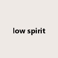 low spirit是什么意思