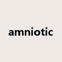 amniotic是什么意思