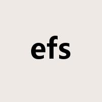 efs是什么意思