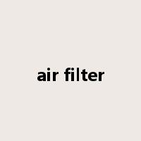 air filter是什么意思