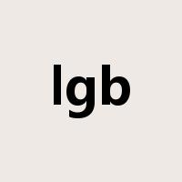 lgb是什么意思
