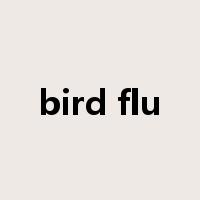 bird flu是什么意思
