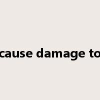 cause damage to是什么意思