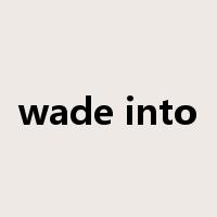 wade into是什么意思