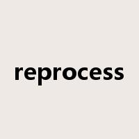 reprocess是什么意思