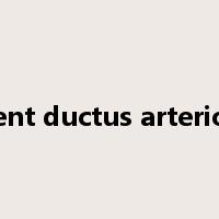 patent ductus arteriosus是什么意思