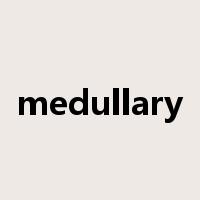 medullary是什么意思